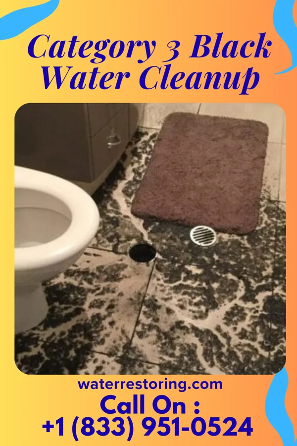 Category 3 Black Water Cleanup in Valmeyer, IL