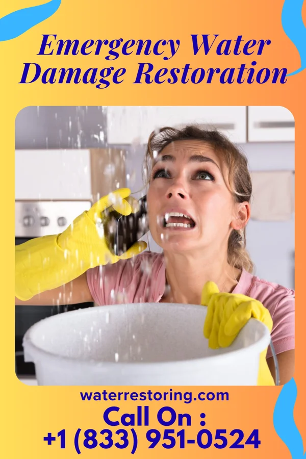 Emergency Water Damage Restoration in Valmeyer, IL