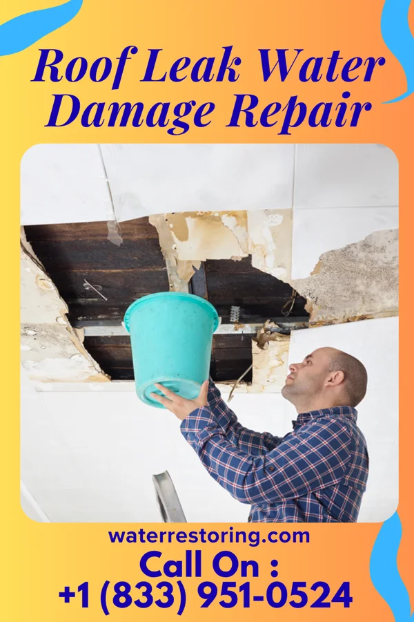 Roof Leak Water Damage Repair in Valmeyer, IL